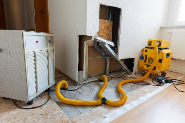 Environmental Consulting for Mold Prevention